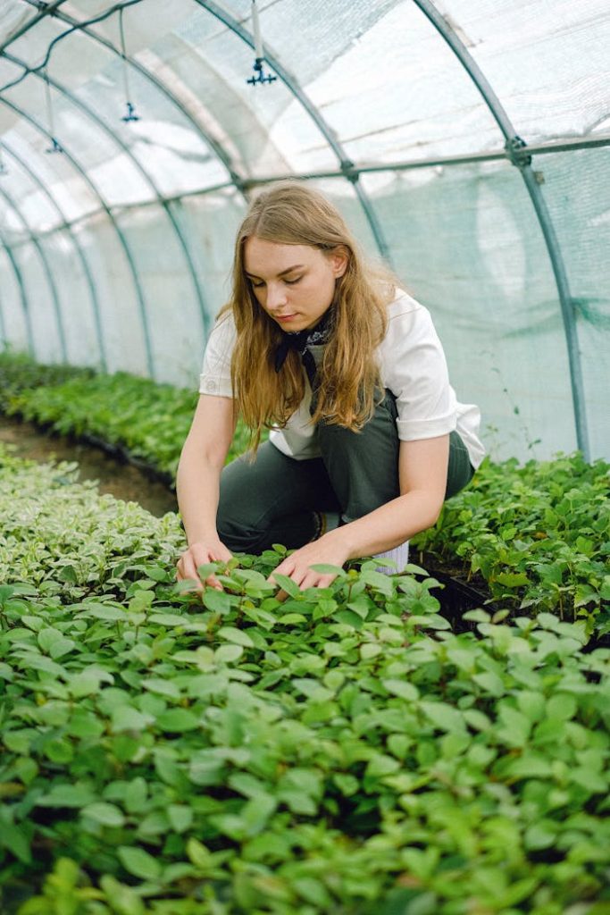pexels-photo-5231220 Full body of woman checking foliage of plants sprouts growing in agricultural complex